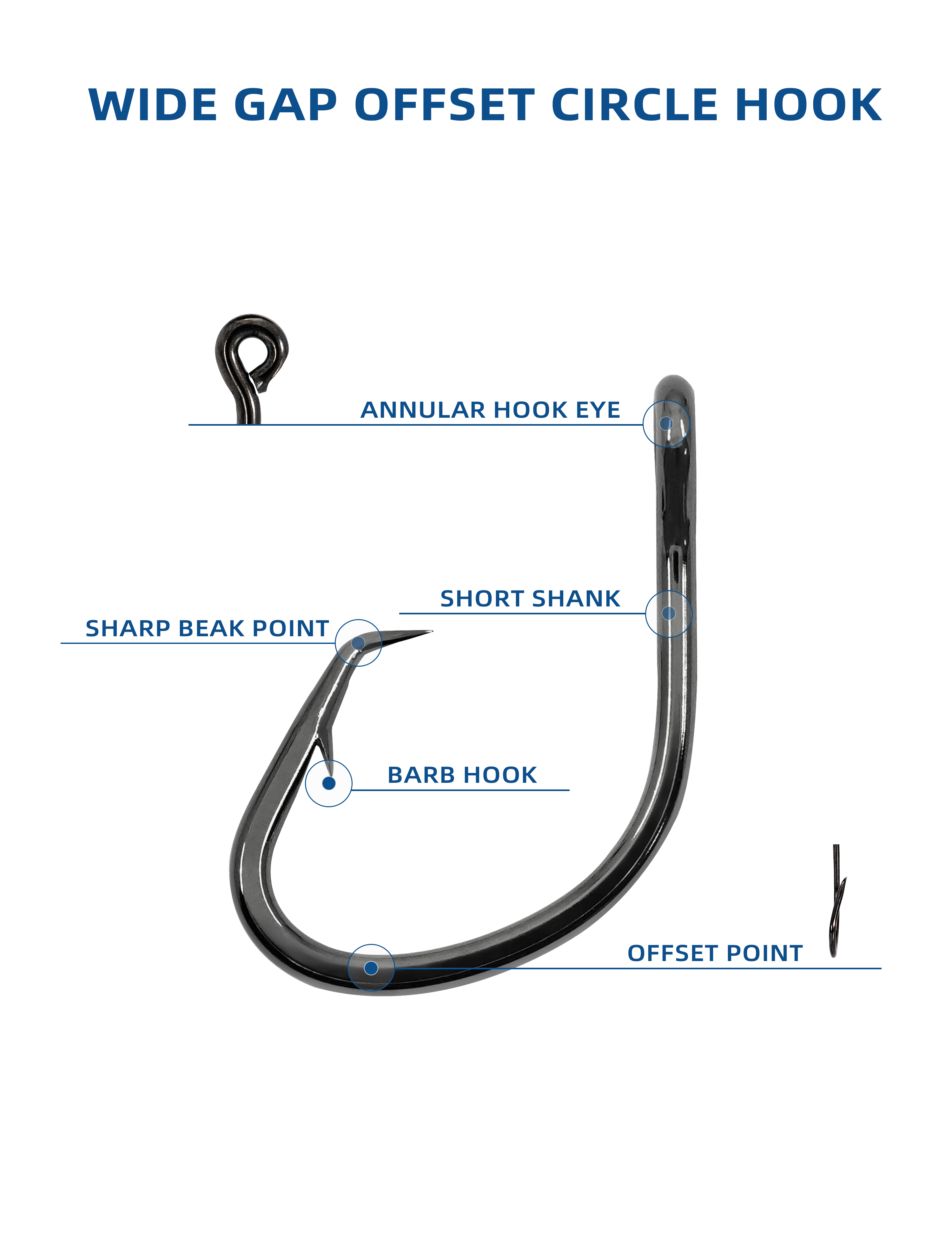 BLUEWING Offset Circle Hook with Swivel 5pcs Stainless Steel